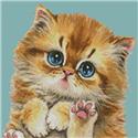Mini Cat 114