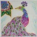 Kit, Peacock by Mill Hill