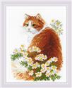 Kit, Ginger Meow by Riolis