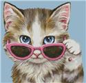 Mini Cat 81