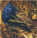 A Wise Old Owl, by Chris Dunn