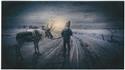 Winter Walk
