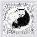 Kit, Yin And Yang by Riolis
