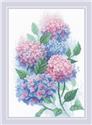 Graceful Hydrangeas