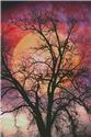 Pattern, Moon in the Branches by Artecy Cross Stitch