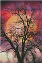 Pattern, Moon in the Branches (Large) by Artecy Cross Stitch