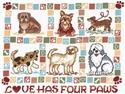 Love Has Four Paws