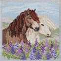 Kit, Icelandic Horses by Mill Hill