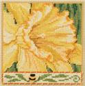 Daffodil