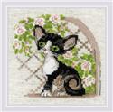 Kit, Cornish Rex Kitten by Riolis