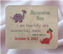 Cross Stitch Patterns, Baby Girl Dinosaur Birth Announcement by Iris Originals