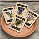 Pattern, Deadly Seed Co. by Lola Crow Cross Stitch