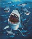 Pattern, Shark Frenzy by Artecy Cross Stitch