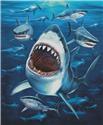 Pattern, Shark Frenzy - Large by Artecy Cross Stitch