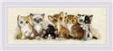 Kit, Kittens by Riolis