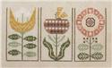 Floral Etchings 2