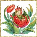 Baby Dragon Tulip