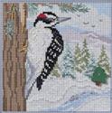 Winter Woodpecker