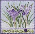 Kit, Crocuses by Mill Hill