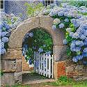 Pattern, Mini Hydrangeas Garden Gate by Artecy Cross Stitch