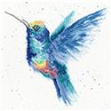 Kit, Rainbow by Wizardi