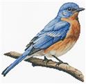Pattern, Eastern Bluebird by Artecy Cross Stitch