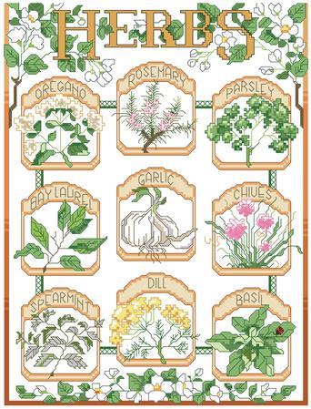 The Herb Garden Sampler | Cross Stitch Pattern