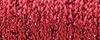 Floss & Thread, 003HL Red High Lustre (#8 Braid) by Kreinik