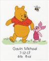 Winnie the Pooh Birth Record