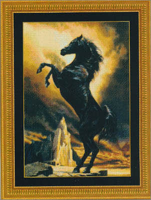 Black Stallion