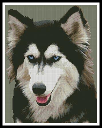 siberian husky CD4枚 Safari Siberian Husky – Triple Mountain Model Horses