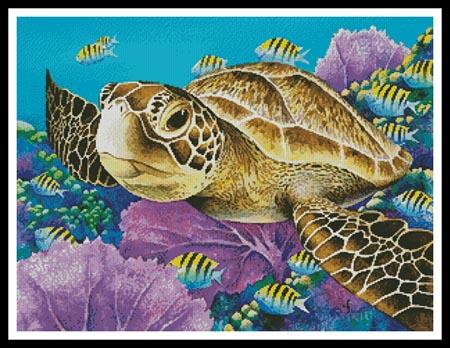 "Young Green Sea Turtle" | Cross Stitch Pattern