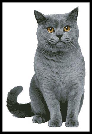British Shorthair Cat Cross Stitch Pattern