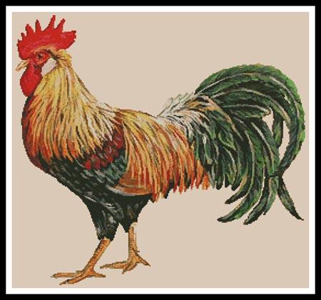 Rooster Cross Stitch Pattern