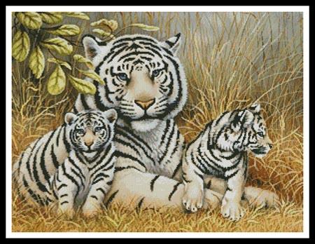 Cross Stitch Chart Pattern 3 Tiger Cubs 