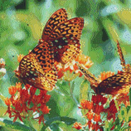 "Butterfly Garden" | Cross Stitch Pattern