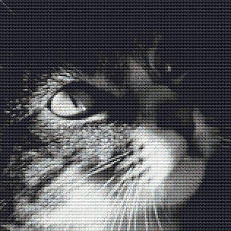 "Cute Gray Cat Cross Stitch Pattern"