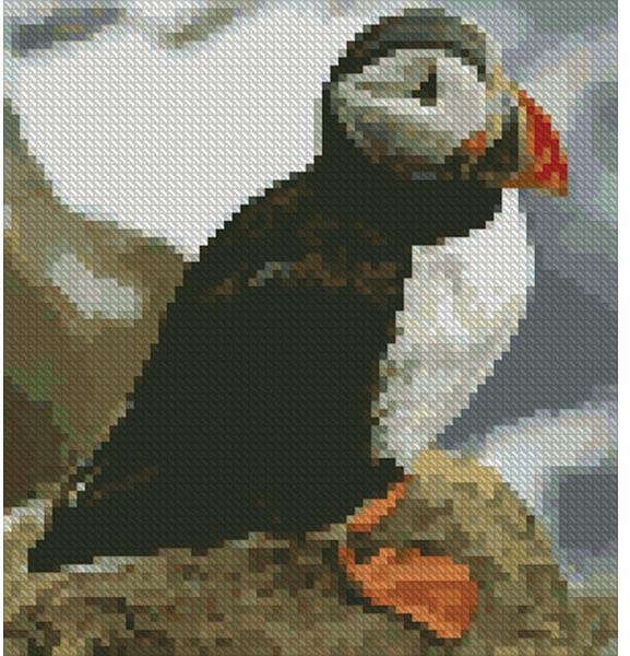 Mini Puffin Pattern Banknote