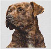 brindle pit bull stuffed animal