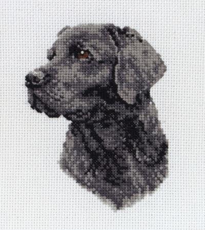 Kit Weimaraner Dog 1 Cross Stitch Chart