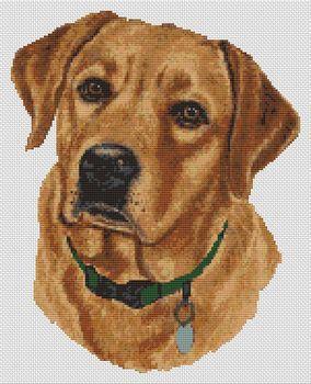 Red Fox Labrador Retriever By White Willow Stitching