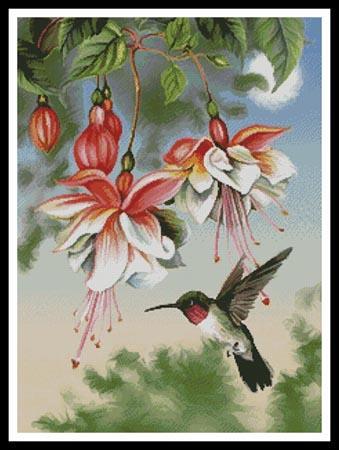 Spring Flowers Attract Hummingbirds Chart Counted Cross Stitch Patterns 