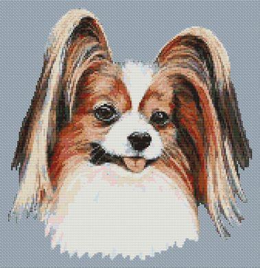 Happy Papillon