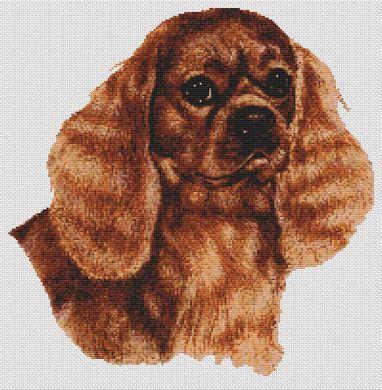 ruby cavalier king charles spaniel stuffed animal