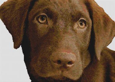 willow tree chocolate lab