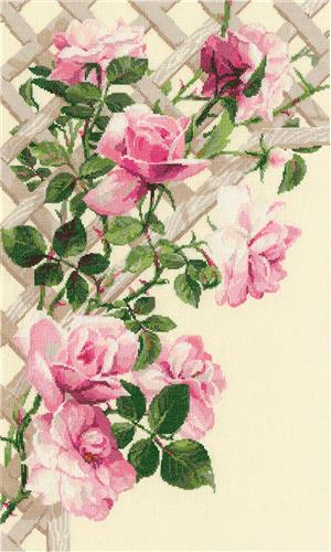 Pink Rose Color Chart