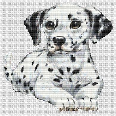 Dalmation dog cross stitch kit