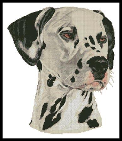 dalmatian painting
