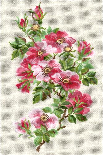 ランウェイモデル✨グッチ ローズ刺繍 ビーズカットソー ジェンダーレス 48