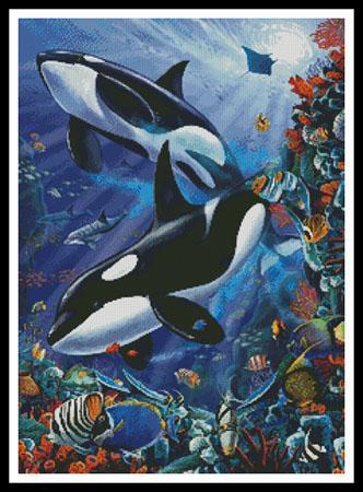 Orcas Cross Stitch Pattern